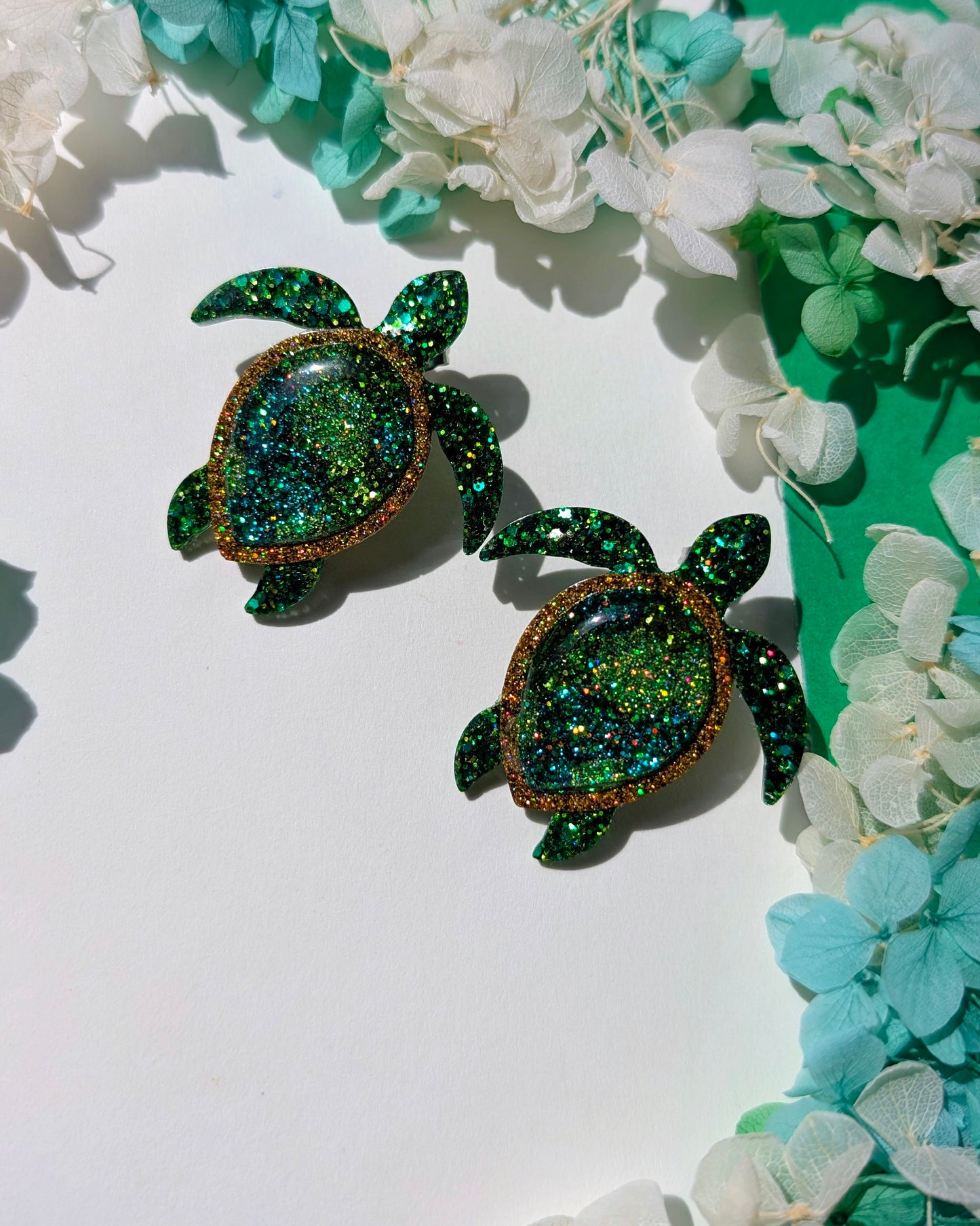 Protectrices des sables 🐢