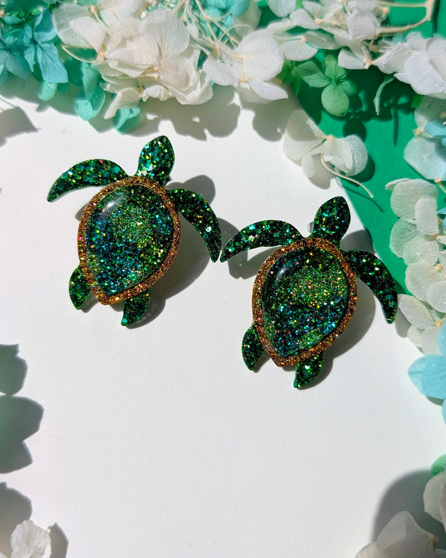 Protectrices des sables 🐢