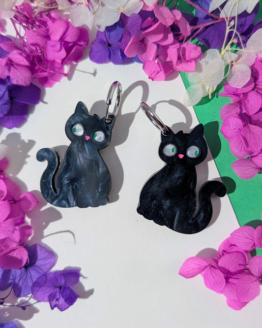 Johnny le Chat Noir 🐈‍⬛