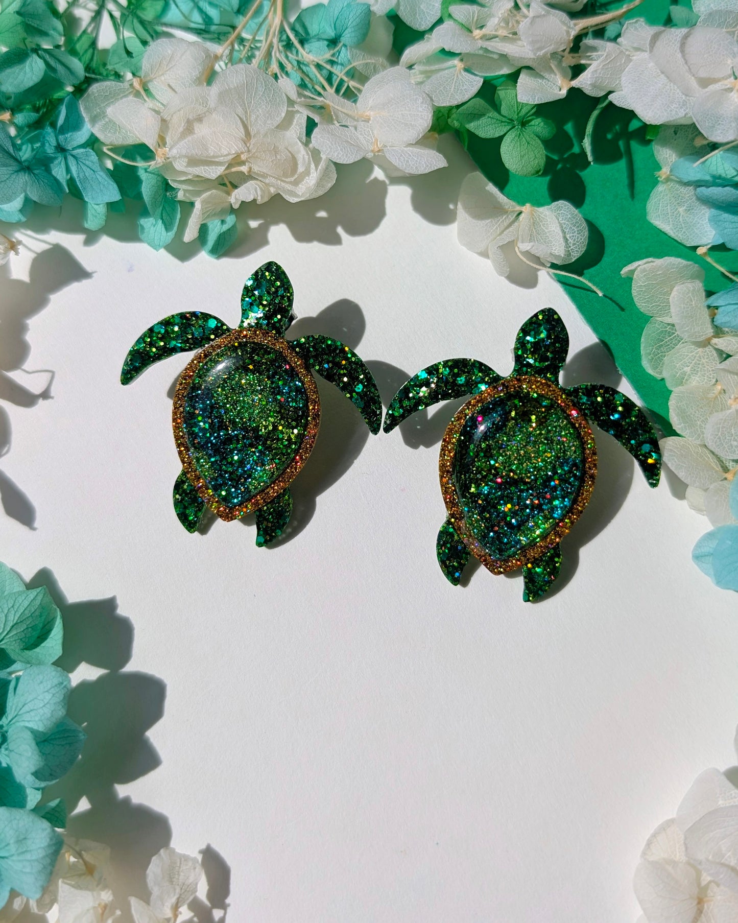 Protectrices des sables 🐢
